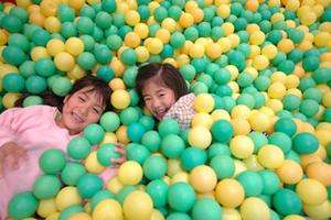 小豆島フェリーで便利に遊びに行こう