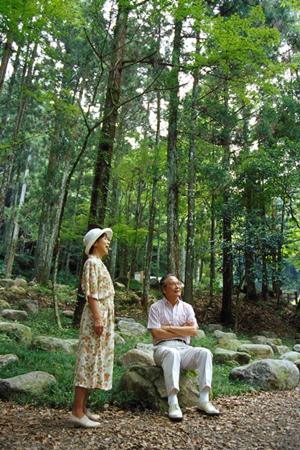 長崎県対馬市のビジネスホテル【東横INN対馬厳原】の魅力と詳細情報