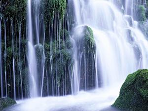 福島県郡山市のビジネスホテル：東横INN郡山の魅力と詳細情報