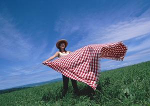 鳥取駅北口に位置する快適なビジネスホテル｜東横INN鳥取駅北口の魅力と概要
