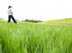 韓国・釜山西面に位置する東横INN釜山西面：快適な滞在と便利なアクセスを提供するビジネスホテルの魅力