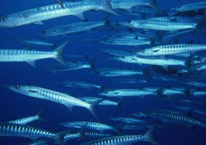 泉天空の湯 有明ガーデン：都心からアクセスしやすい癒しの温泉施設