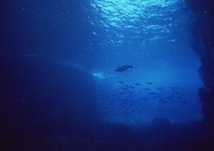 住友不動産ヴィラフォンテーヌ羽田空港：空港直結の快適ステイを提供する高級ホテルの魅力