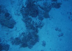 愛知県名古屋市のビジネスホテル：東横INN名古屋駅新幹線口の魅力と概要