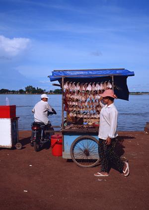 静岡県藤枝市のビジネスホテル【東横INN静岡藤枝駅北口】の魅力と最新情報