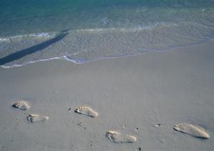 姫路駅徒歩1分の快適ステイ！東横INN姫路駅新幹線南口｜アクセス良好なビジネスホテルの特徴と詳細情報
