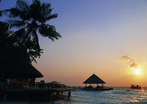 【公式】東横INN西船橋原木インター｜千葉市川市のビジネスホテル予約サイト